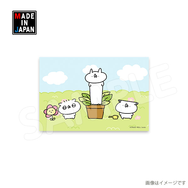 usatei575poR_97f5e76f-5c5c-