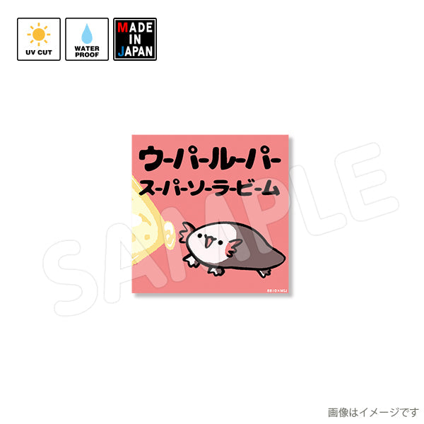 8810006_grande.jpg?v=1681457194